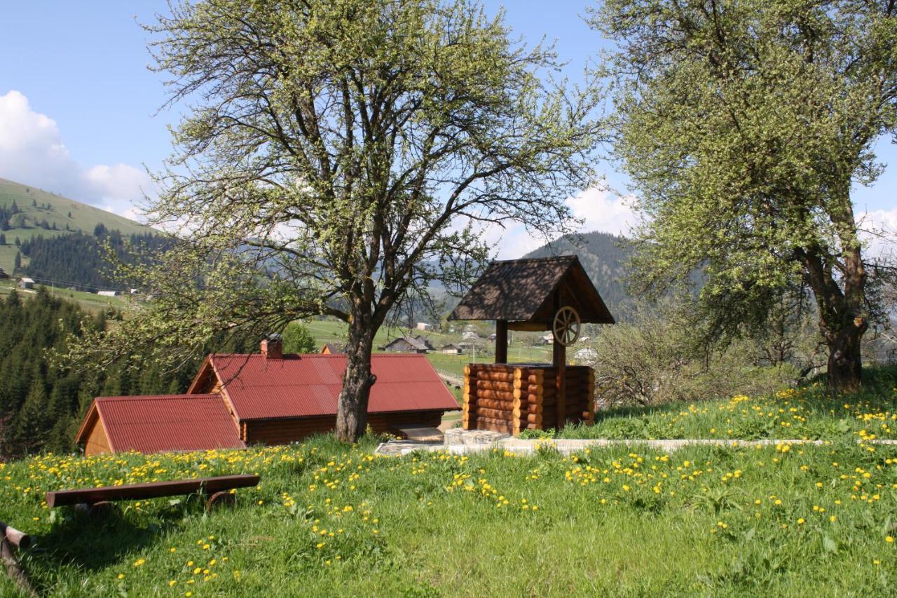 Polonyna Βίλα Verkhovyna Εξωτερικό φωτογραφία