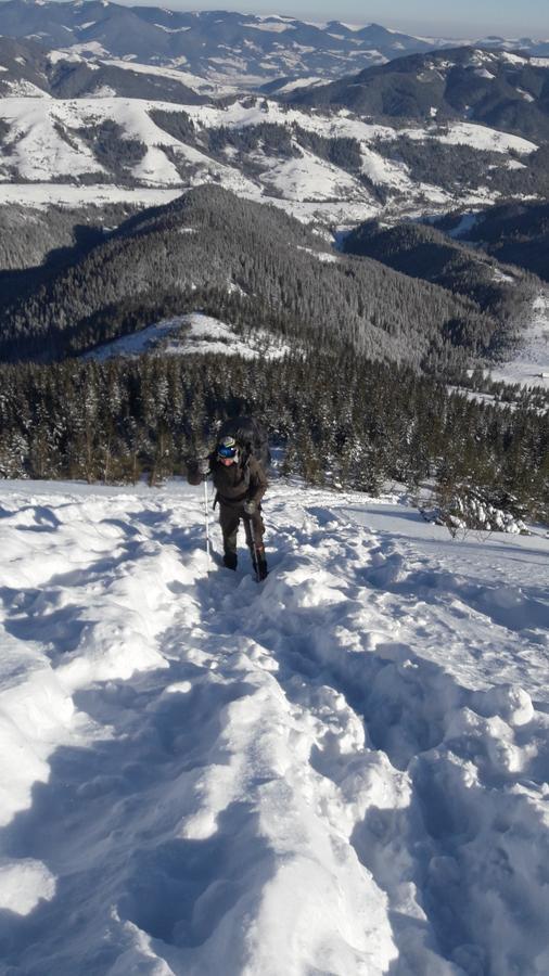 Polonyna Βίλα Verkhovyna Εξωτερικό φωτογραφία
