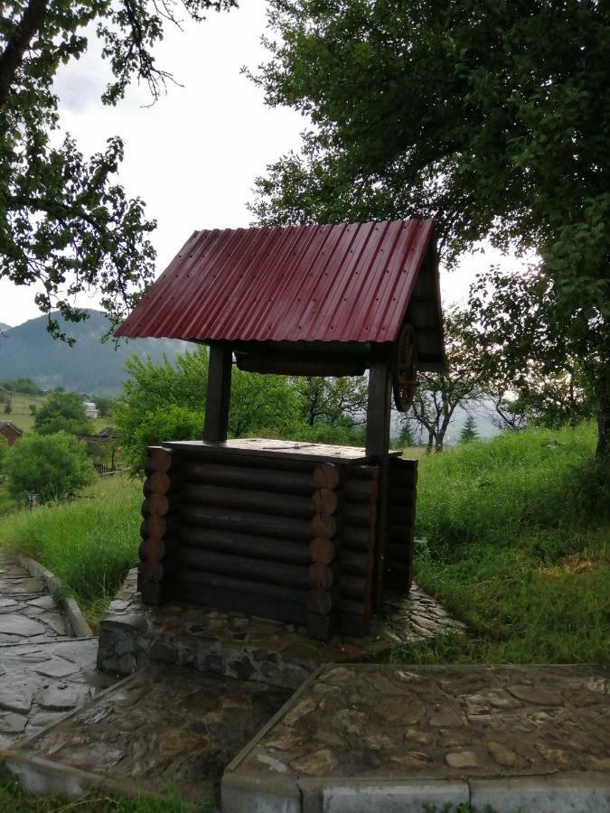 Polonyna Βίλα Verkhovyna Εξωτερικό φωτογραφία